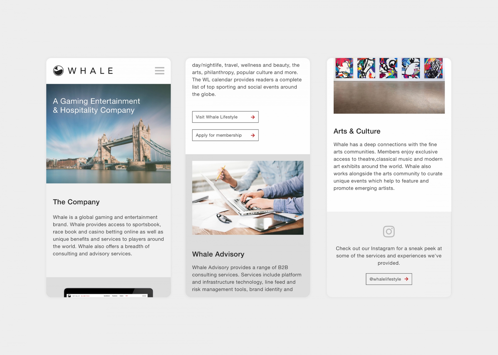 Whale Global responsive web design by Ryan Paonessa