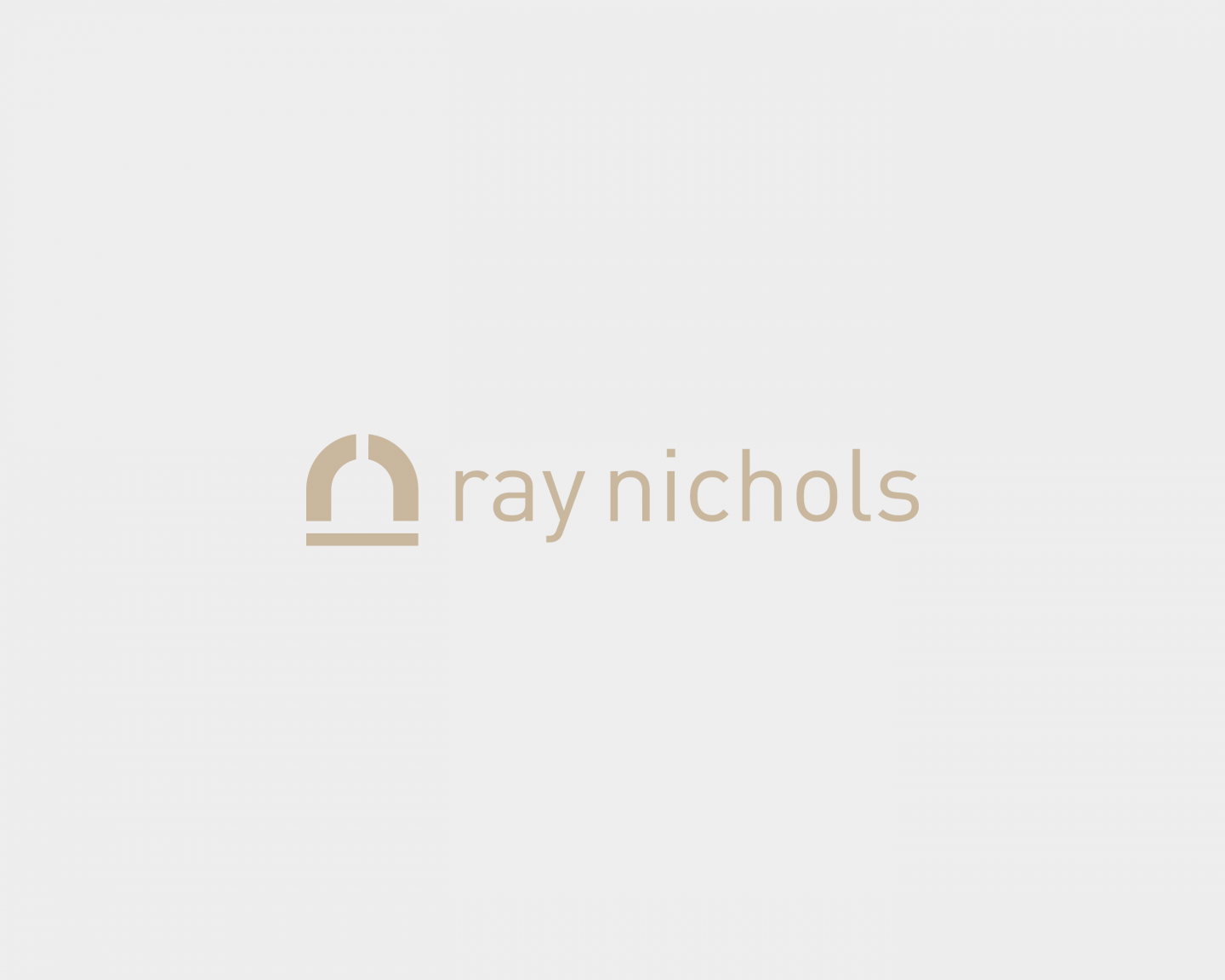 Ray Nichols logo and visual identity